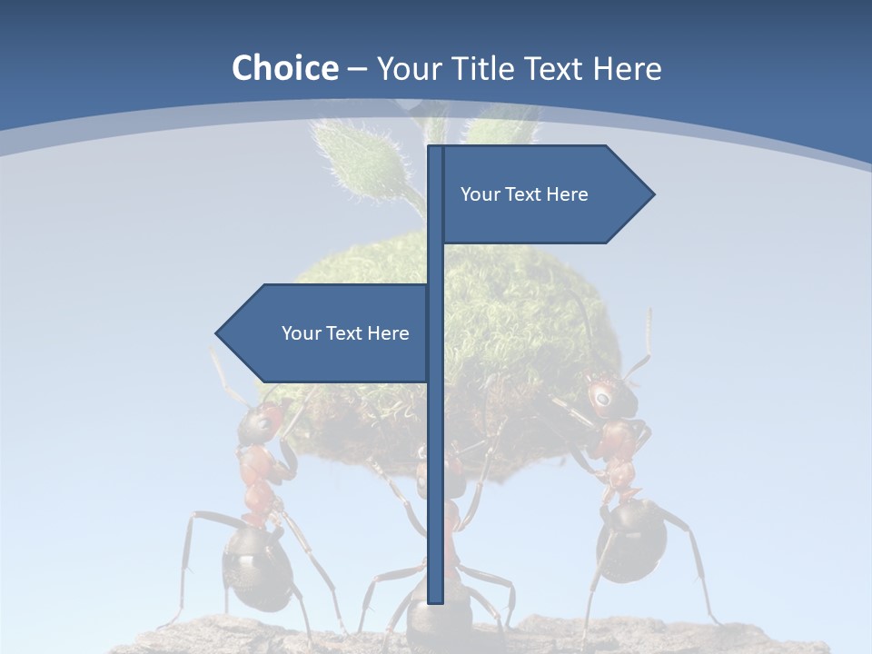 Grass Flower Green PowerPoint Template