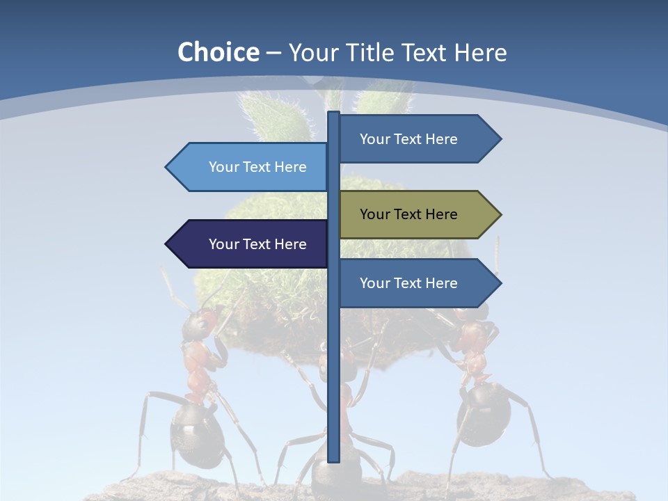 Grass Flower Green PowerPoint Template