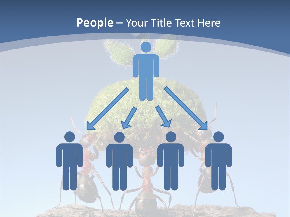 Grass Flower Green PowerPoint Template