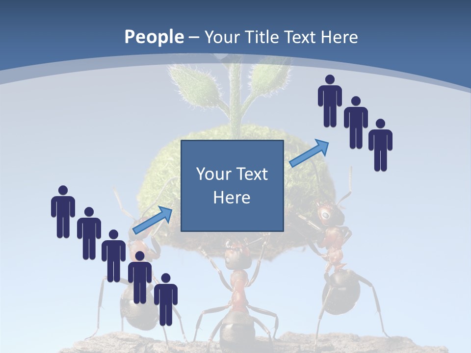 Grass Flower Green PowerPoint Template