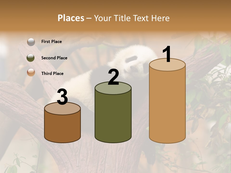 Reserve Panda Species PowerPoint Template