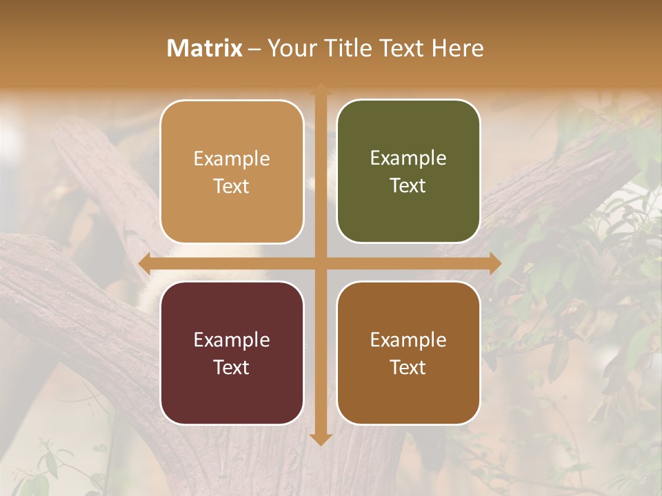 Reserve Panda Species PowerPoint Template