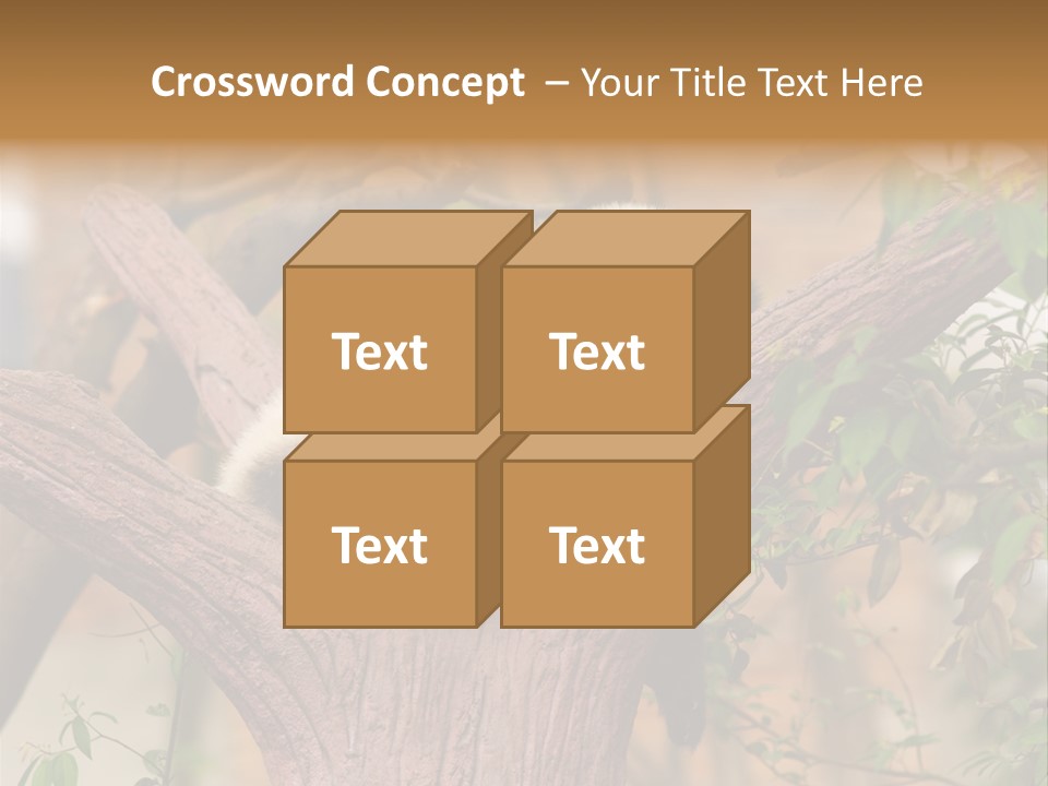 Reserve Panda Species PowerPoint Template