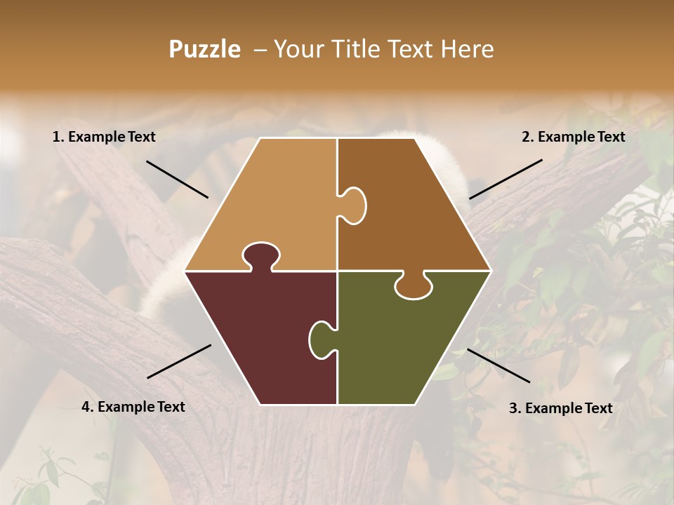 Reserve Panda Species PowerPoint Template