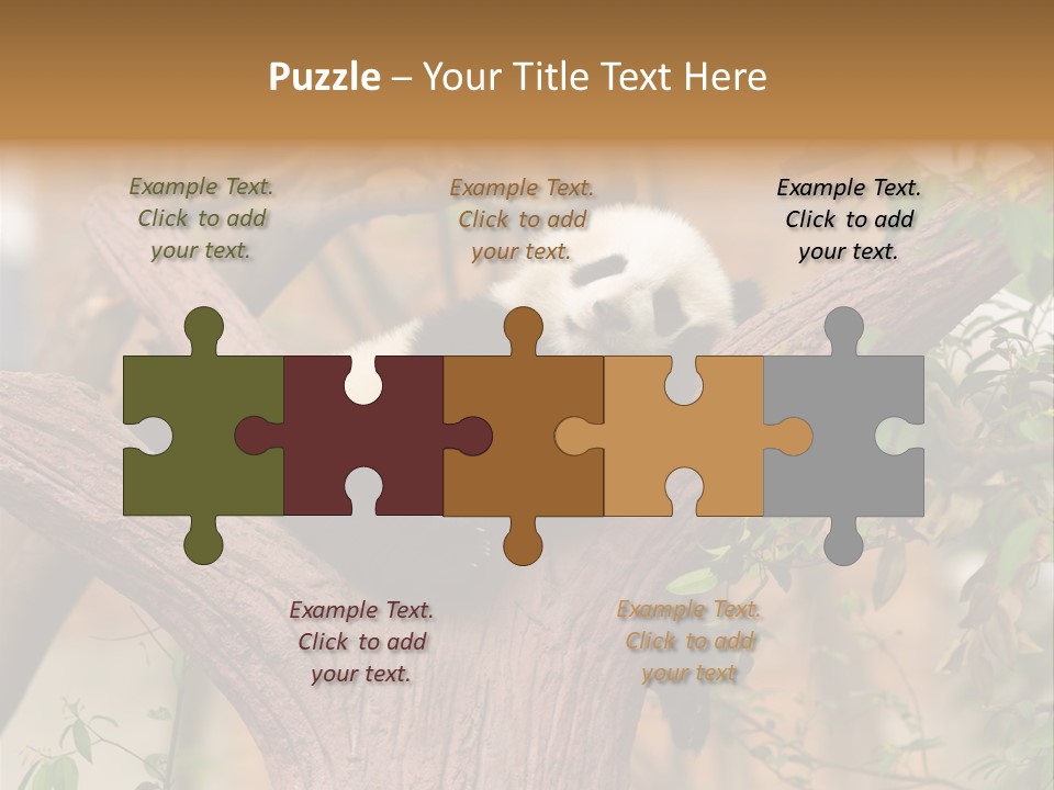 Reserve Panda Species PowerPoint Template