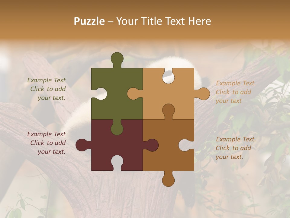 Reserve Panda Species PowerPoint Template