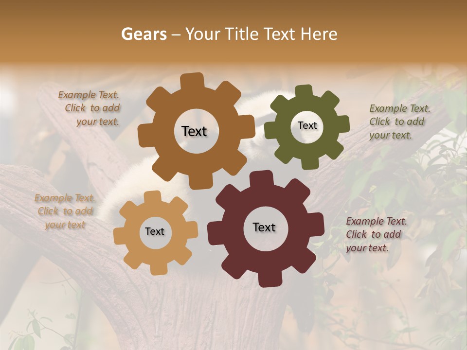 Reserve Panda Species PowerPoint Template