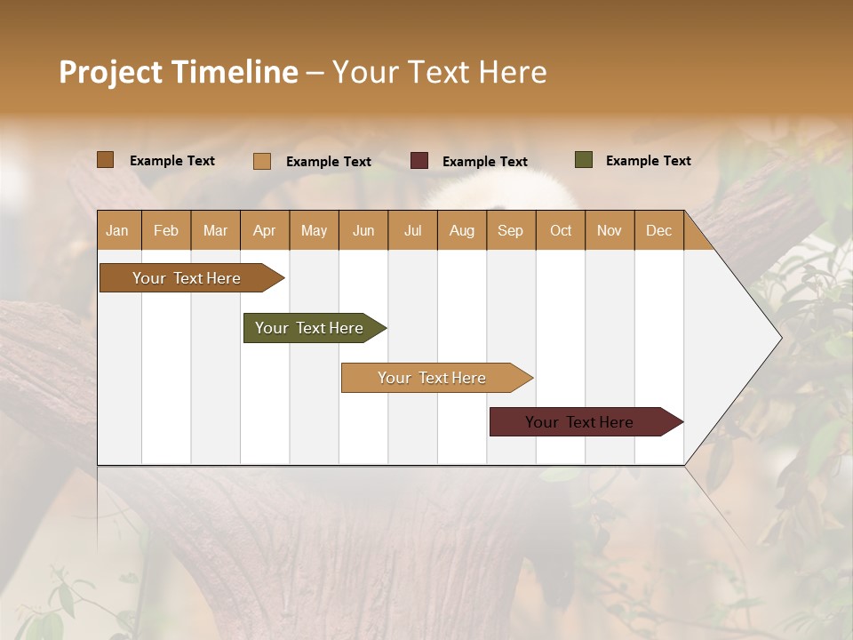 Reserve Panda Species PowerPoint Template