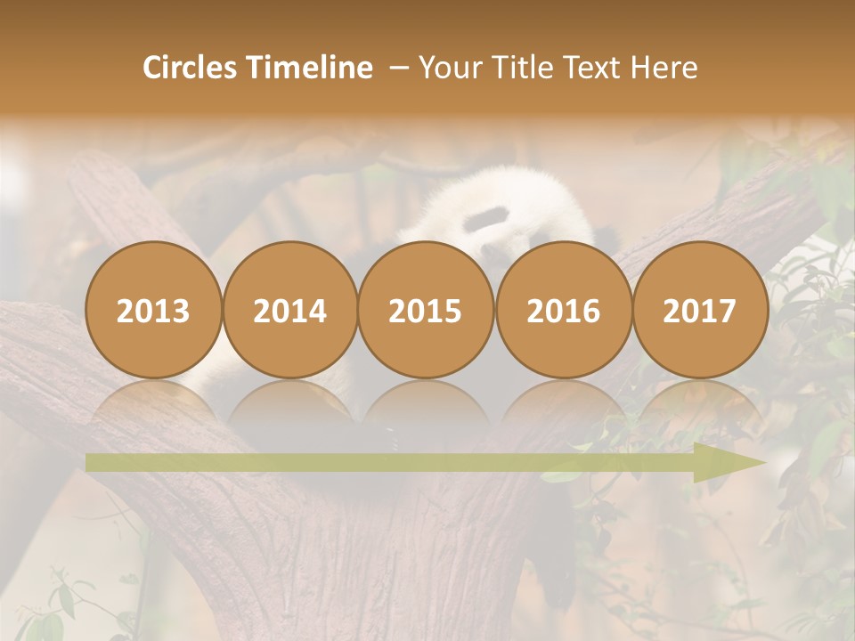 Reserve Panda Species PowerPoint Template