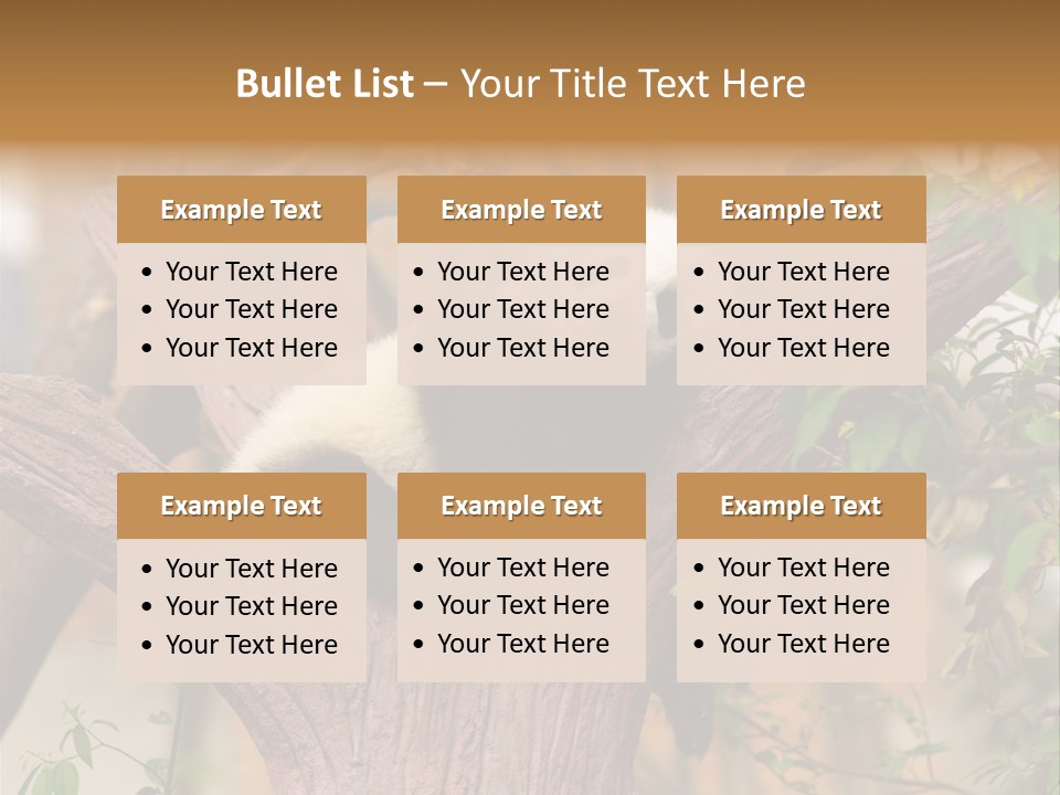 Reserve Panda Species PowerPoint Template