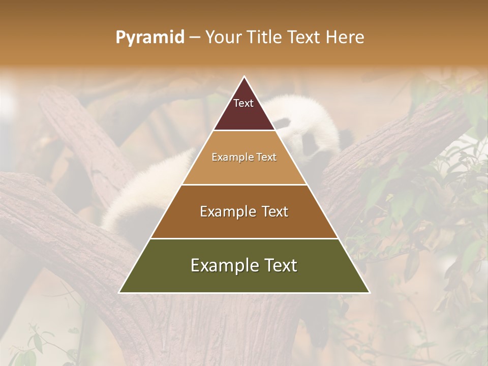 Reserve Panda Species PowerPoint Template