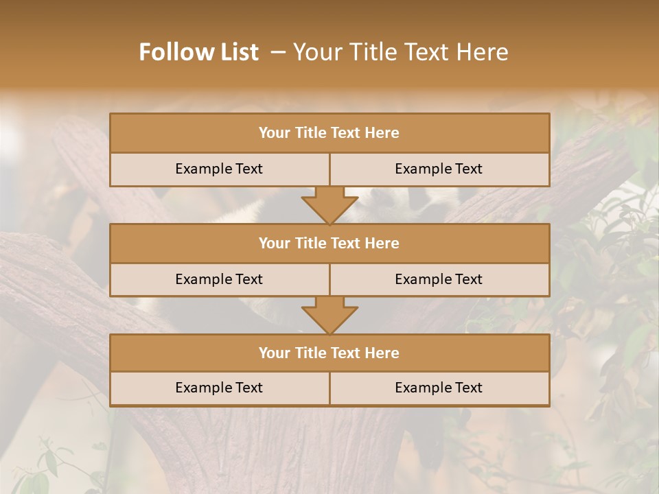 Reserve Panda Species PowerPoint Template