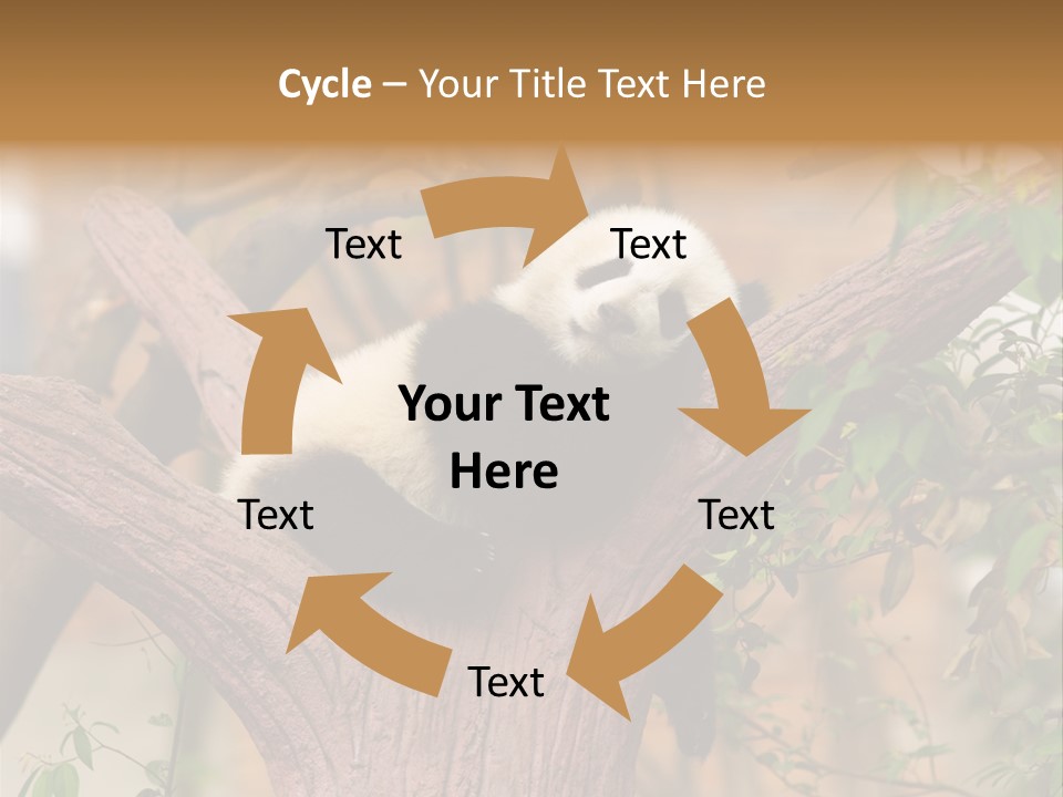 Reserve Panda Species PowerPoint Template