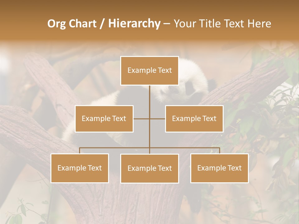 Reserve Panda Species PowerPoint Template