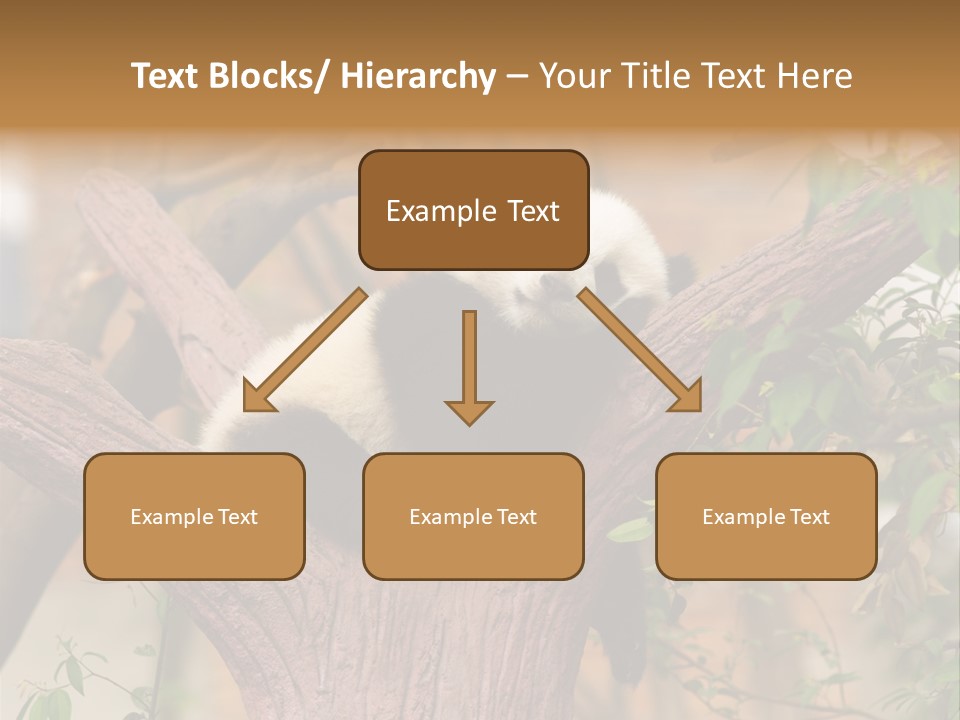Reserve Panda Species PowerPoint Template