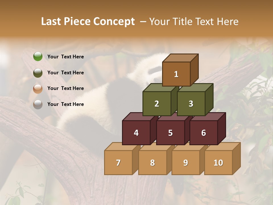 Reserve Panda Species PowerPoint Template