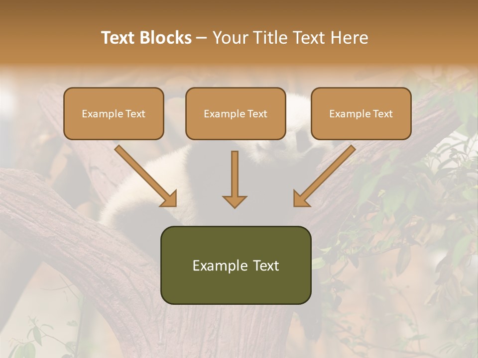 Reserve Panda Species PowerPoint Template