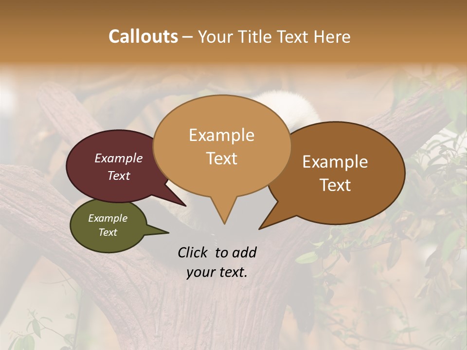 Reserve Panda Species PowerPoint Template