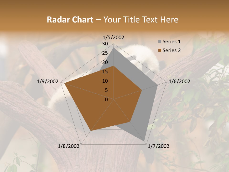 Reserve Panda Species PowerPoint Template
