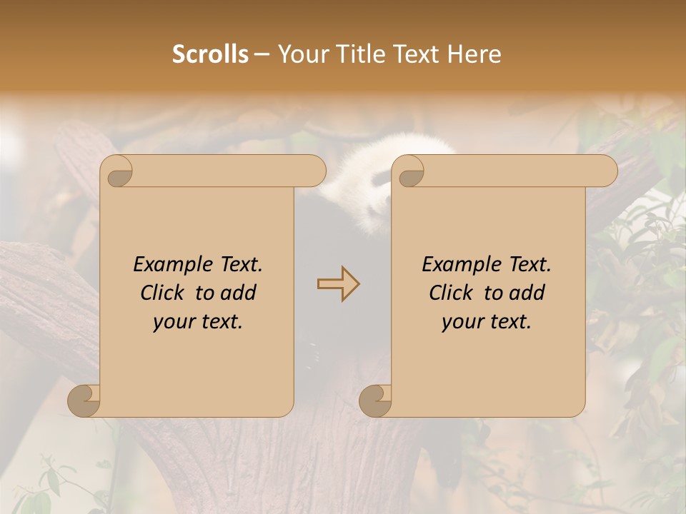 Reserve Panda Species PowerPoint Template
