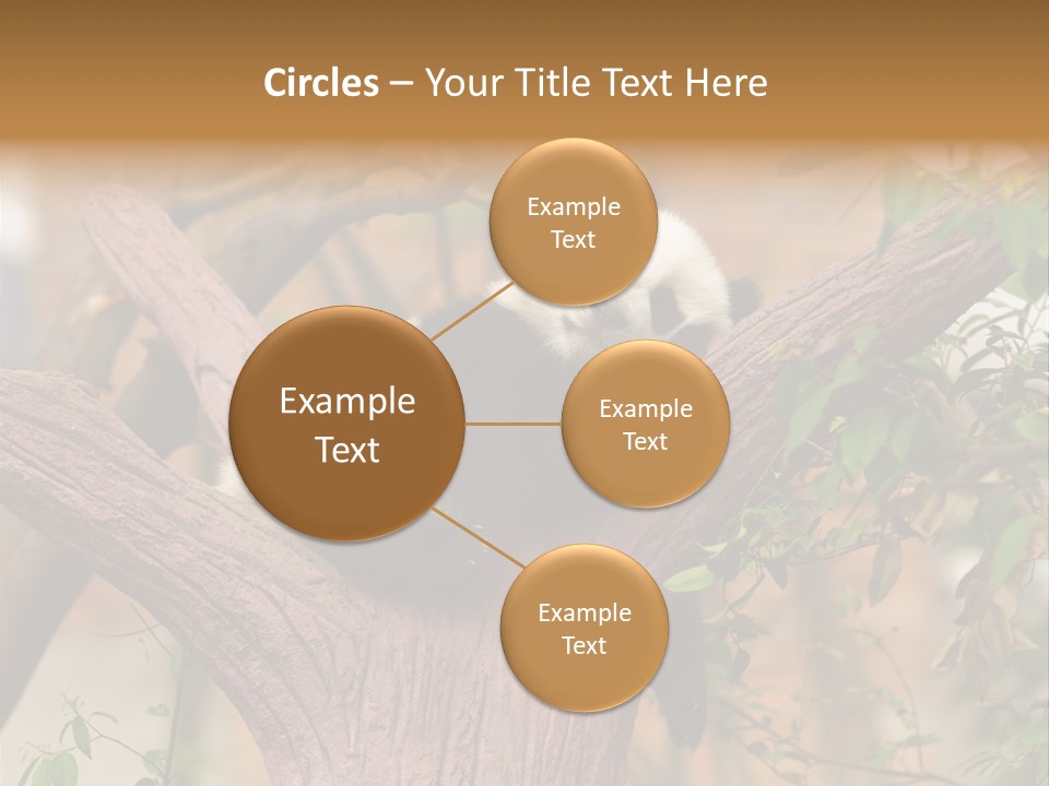 Reserve Panda Species PowerPoint Template