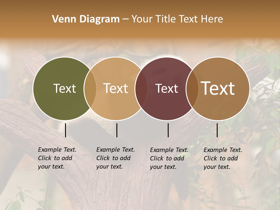 Reserve Panda Species PowerPoint Template