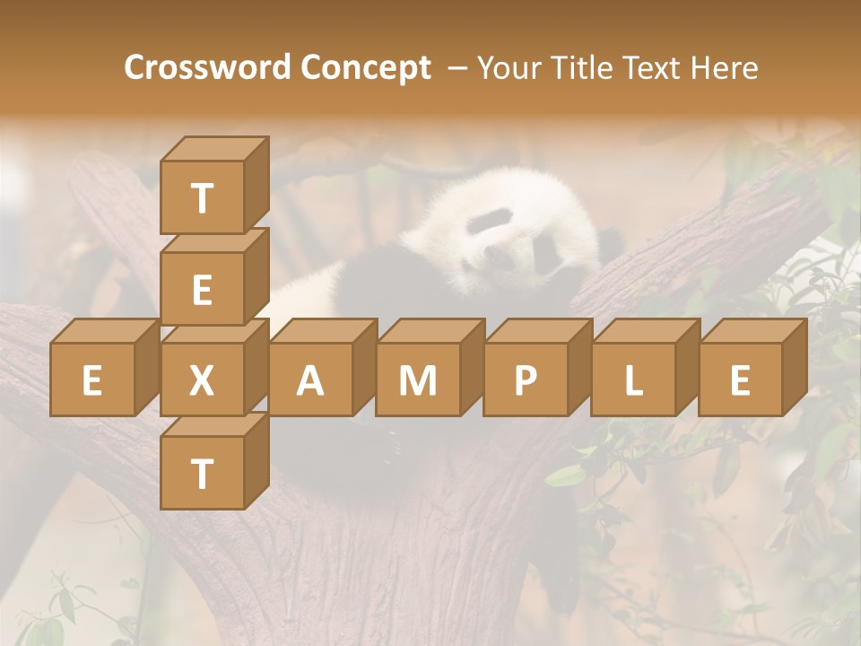 Reserve Panda Species PowerPoint Template