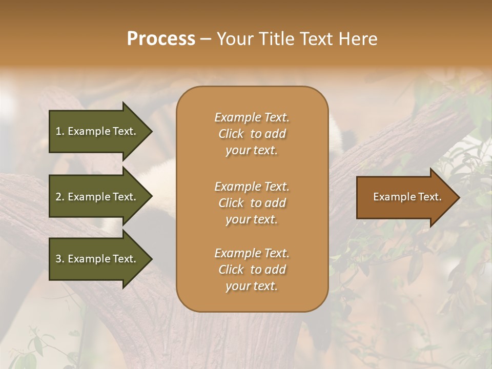 Reserve Panda Species PowerPoint Template