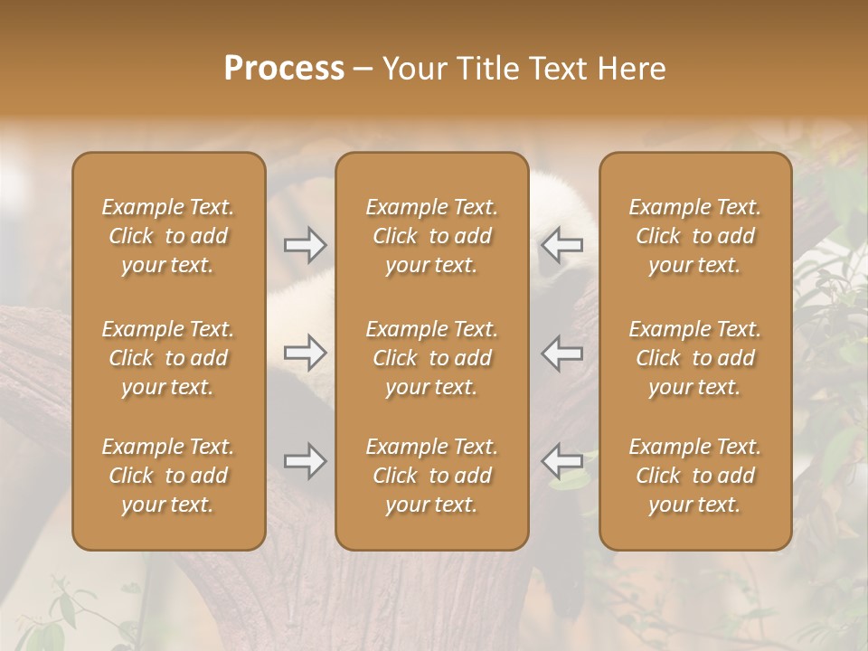 Reserve Panda Species PowerPoint Template