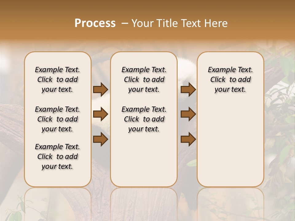 Reserve Panda Species PowerPoint Template