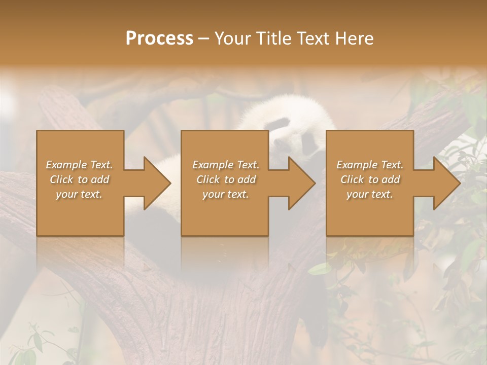 Reserve Panda Species PowerPoint Template