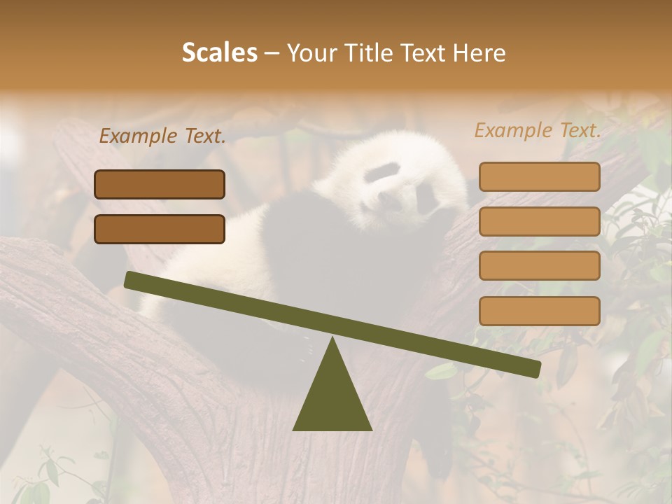 Reserve Panda Species PowerPoint Template
