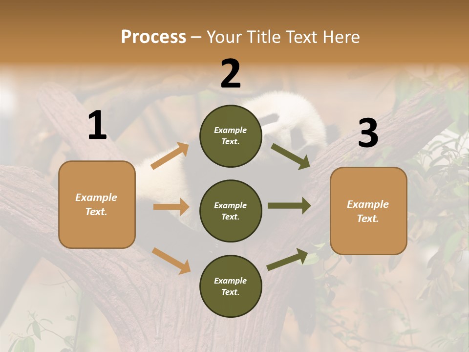 Reserve Panda Species PowerPoint Template