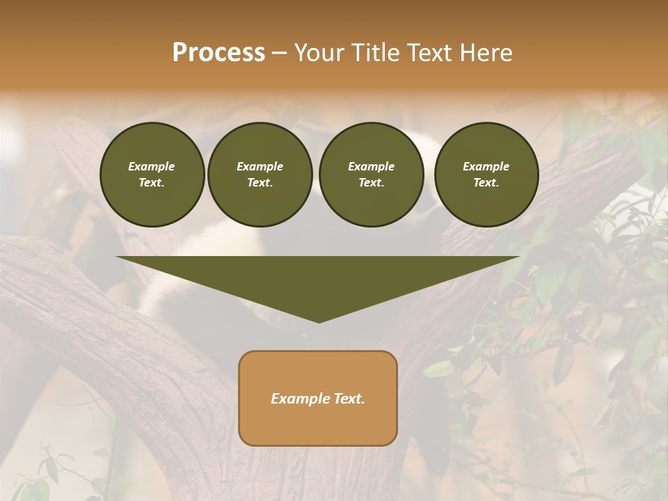 Reserve Panda Species PowerPoint Template