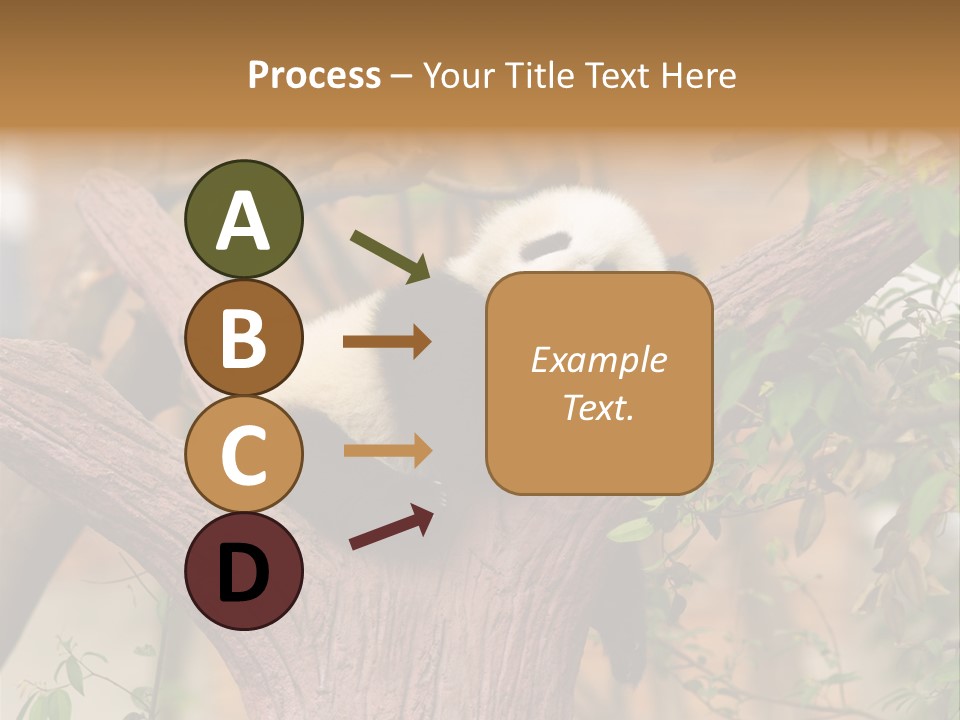 Reserve Panda Species PowerPoint Template