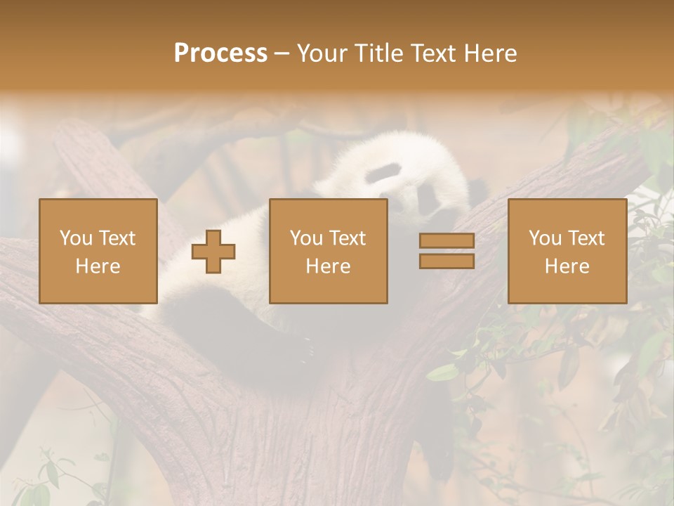 Reserve Panda Species PowerPoint Template