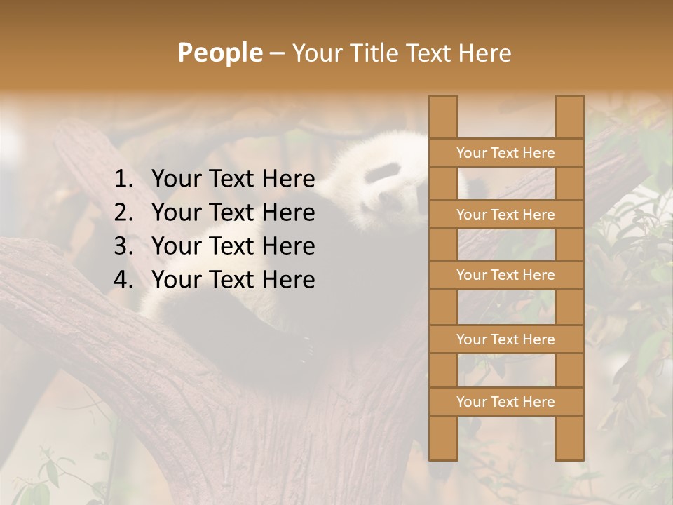 Reserve Panda Species PowerPoint Template