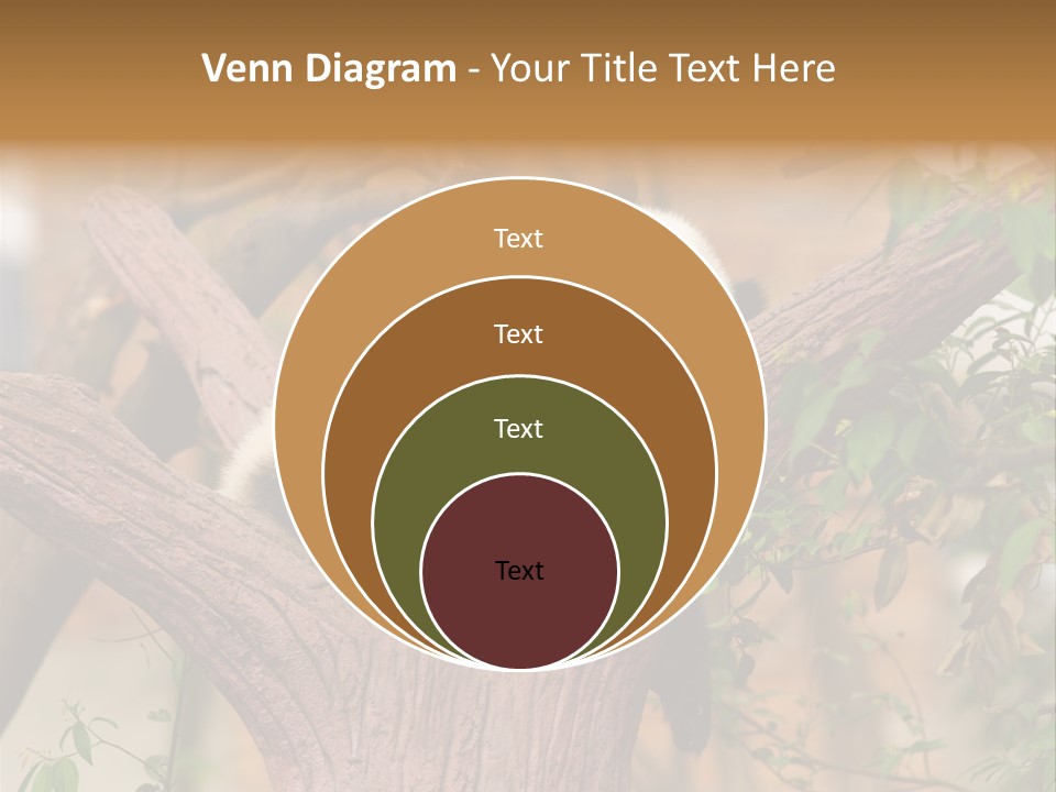 Reserve Panda Species PowerPoint Template