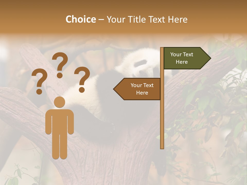 Reserve Panda Species PowerPoint Template