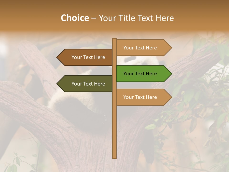 Reserve Panda Species PowerPoint Template