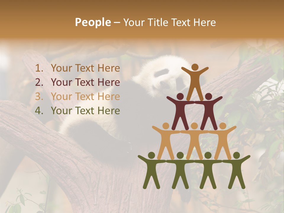 Reserve Panda Species PowerPoint Template