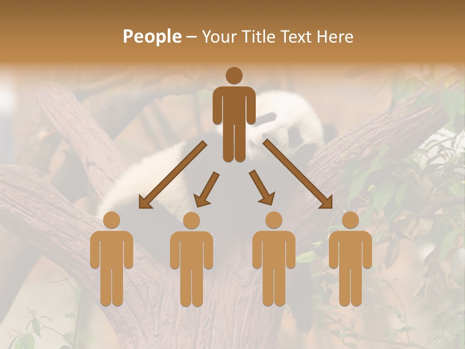 Reserve Panda Species PowerPoint Template