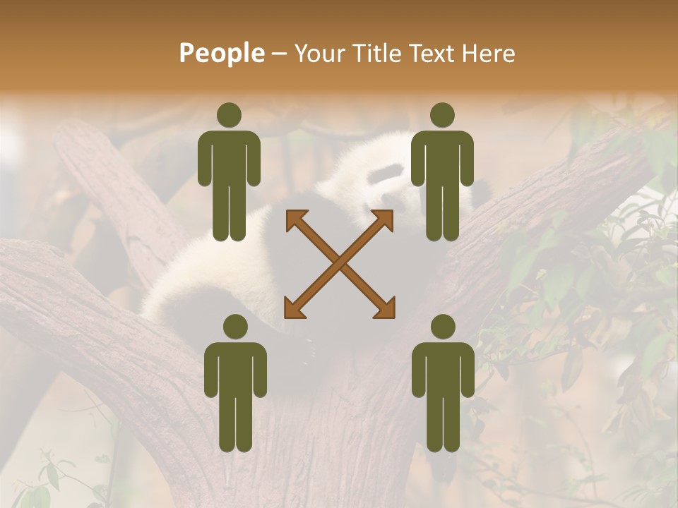 Reserve Panda Species PowerPoint Template