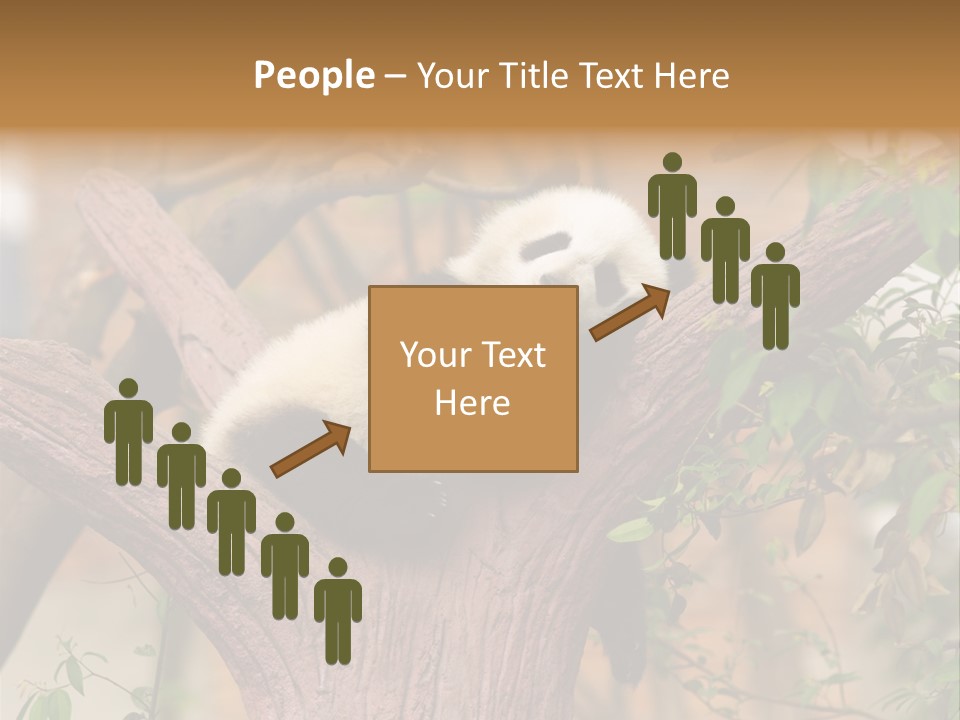 Reserve Panda Species PowerPoint Template