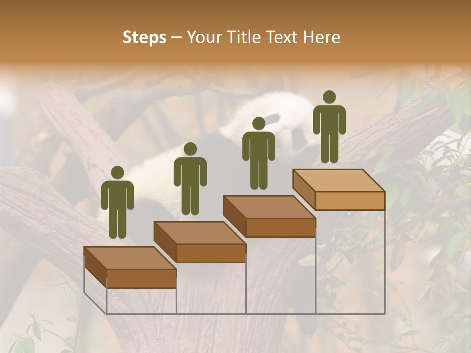 Reserve Panda Species PowerPoint Template