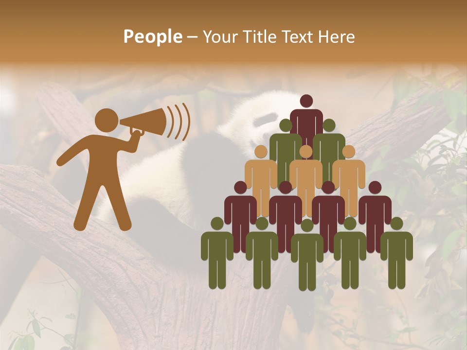 Reserve Panda Species PowerPoint Template