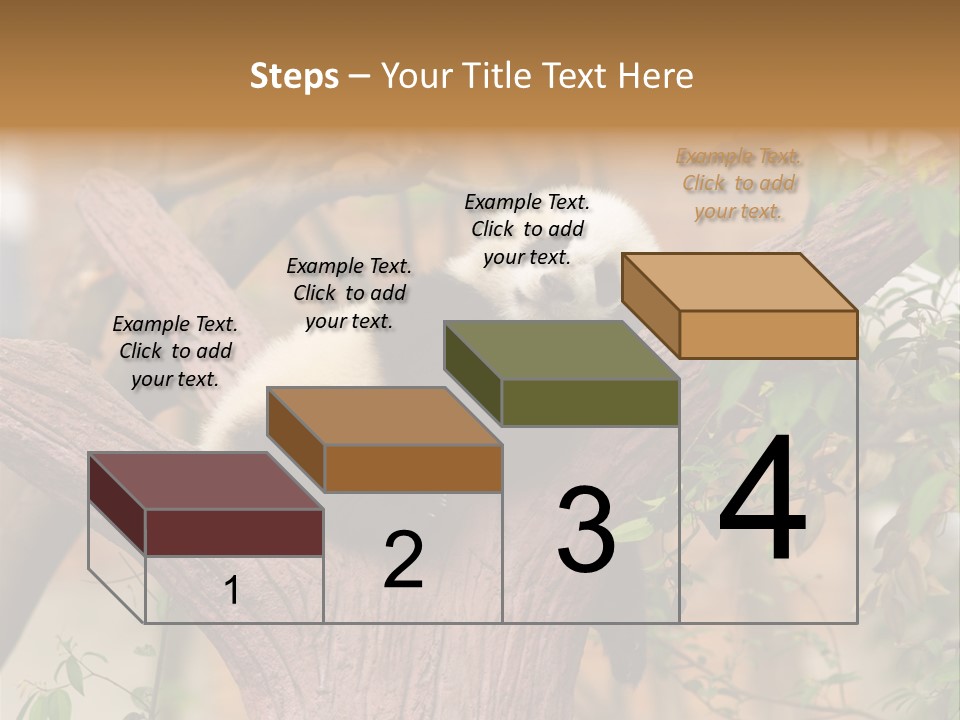 Reserve Panda Species PowerPoint Template