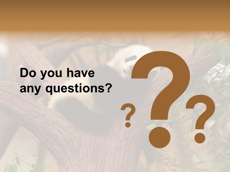 Reserve Panda Species PowerPoint Template