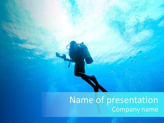 Tropical Salt Freedom PowerPoint Template