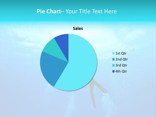 Tropical Salt Freedom PowerPoint Template